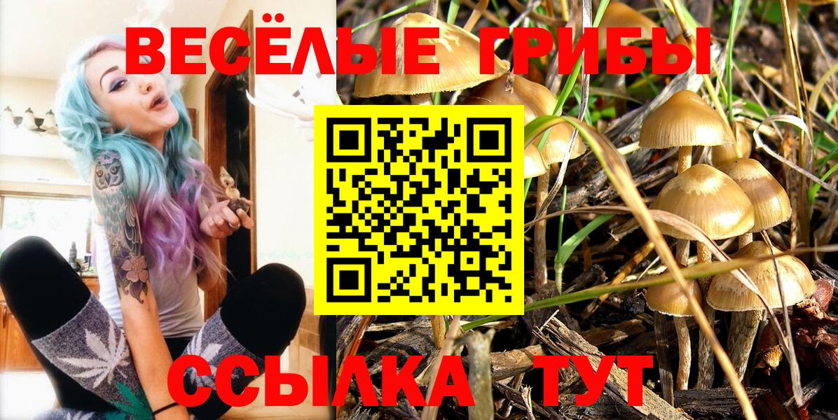 Псилоцибиновые грибы мицелий Коркино